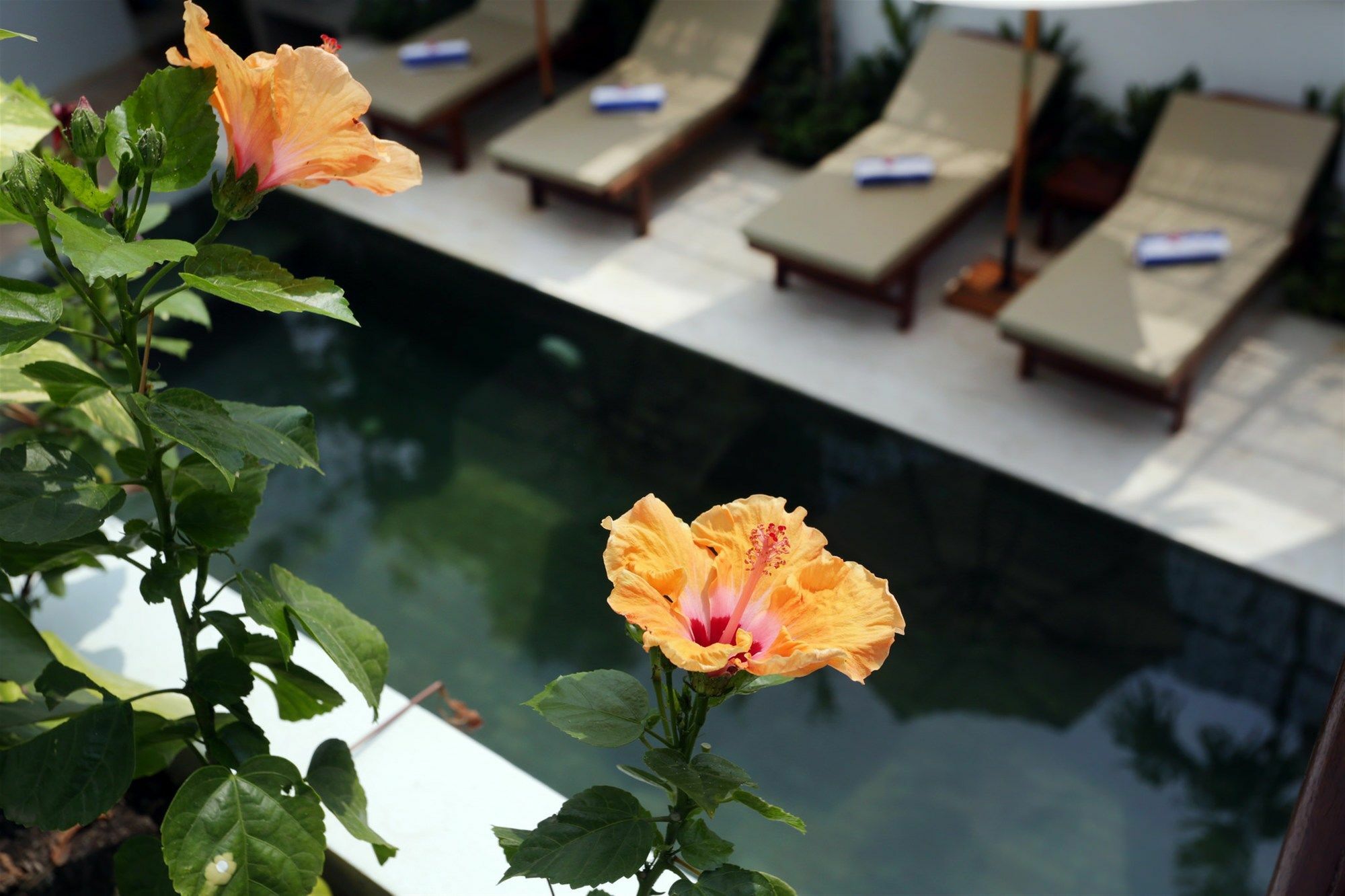 Sam So Boutique Villa Siem Reap Buitenkant foto
